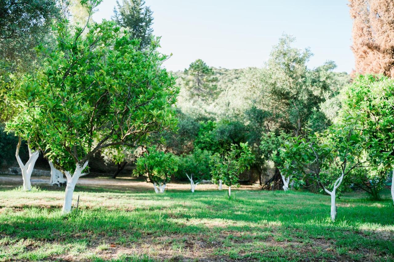 Villa Kallithea Parga Exteriér fotografie