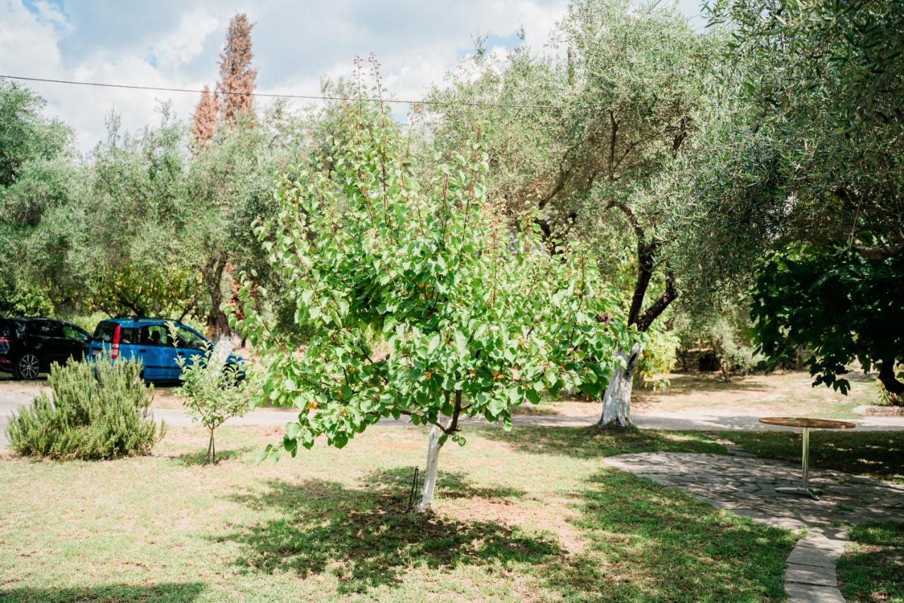 Villa Kallithea Parga Exteriér fotografie